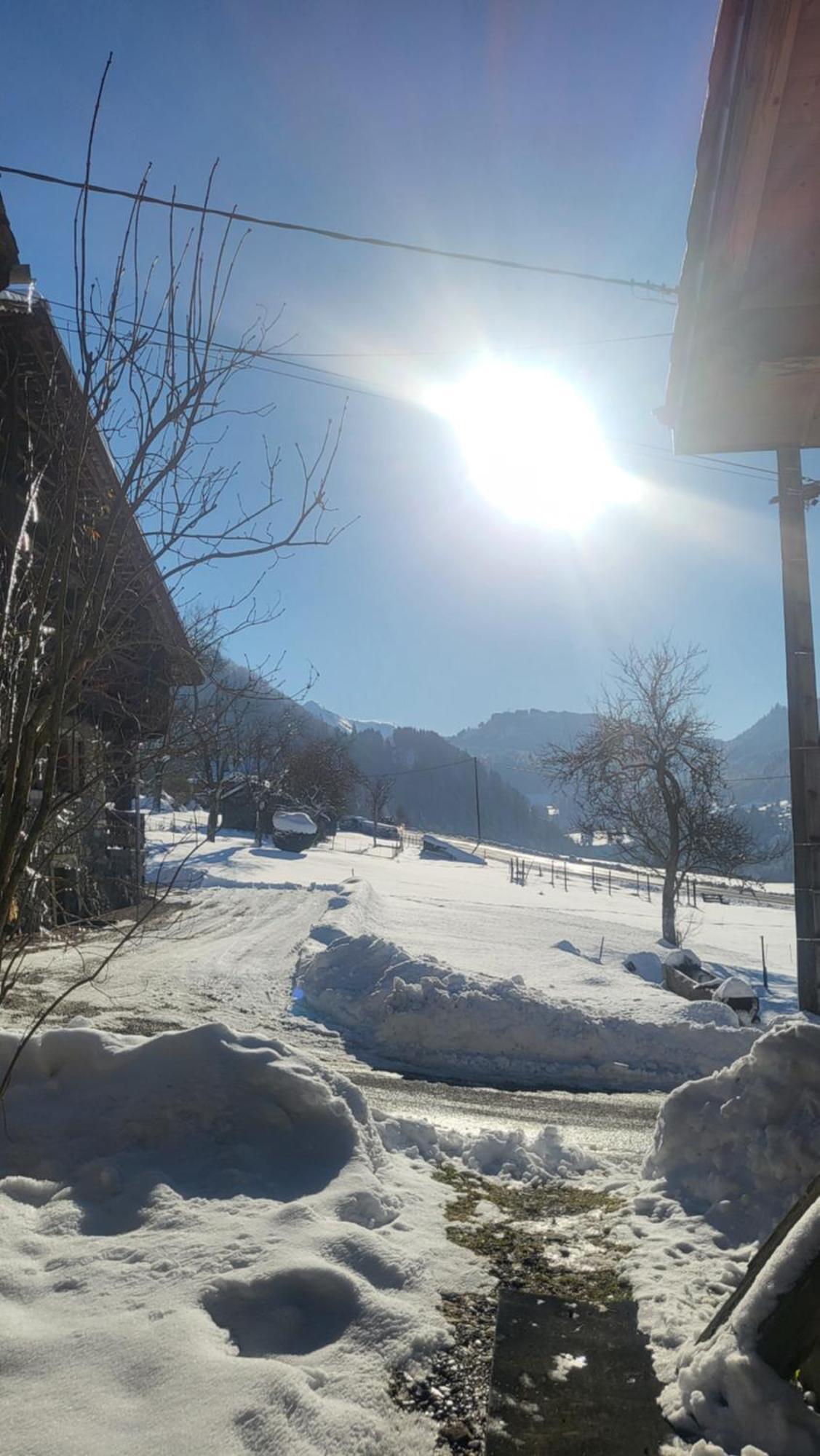 伊斯特若曼德Le Nid Des Cerfs住宿加早餐旅馆 外观 照片